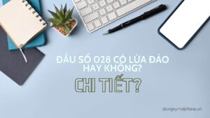 dau-so-028-co-lua-dao-hay-khong-chi-tiet