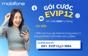 evip12-mobifone-mien-phi-internet-trong-12-thang